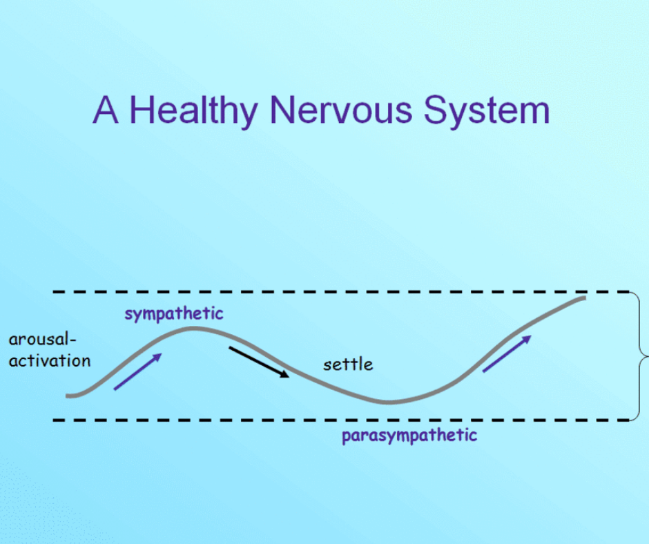 Befriending Our Nervous System The Beautiful Revolution 0359